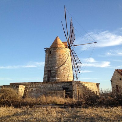 Mulino